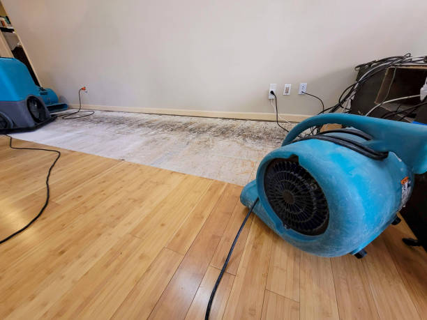 Professional Basement Flood Cleanup technician working in East Schodack, NY